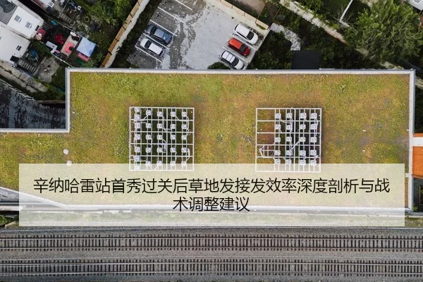 辛纳哈雷站首秀过关后草地发接发效率深度剖析与战术调整建议